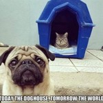 Great & Funny Pictures