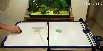 I know this doesn't fit in specifically with everything else but we couldn't resist sharing, someone created this. Way beyond my skills to build it!